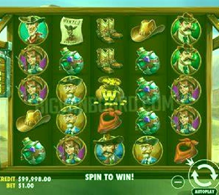 Random Wild Winner slot game