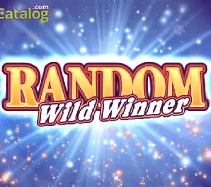 Random Wild Winner slot