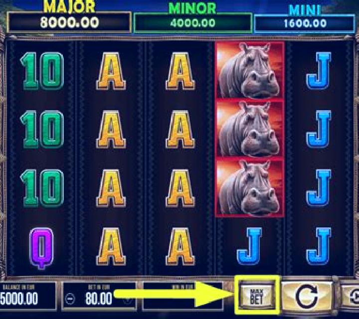 Realm of Lions slot