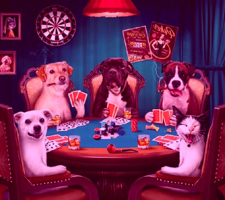 Red Dog Poker online slot