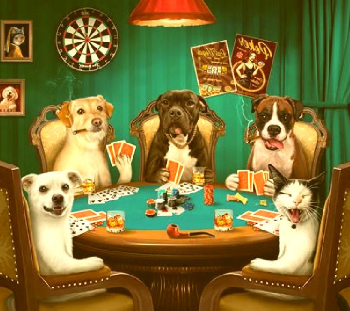 Red Dog Poker slot game