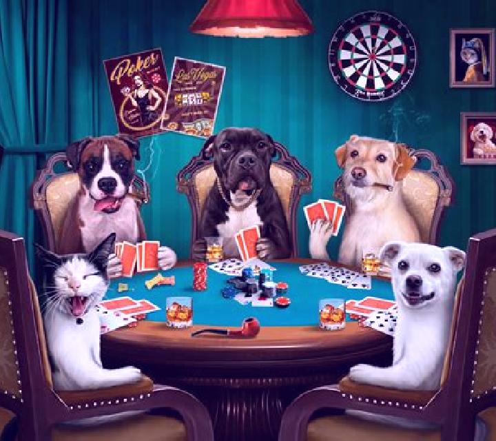 Red Dog Poker slot machine