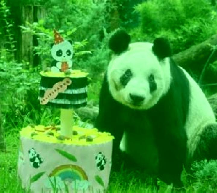 Red Panda (XIN Gaming) online slot