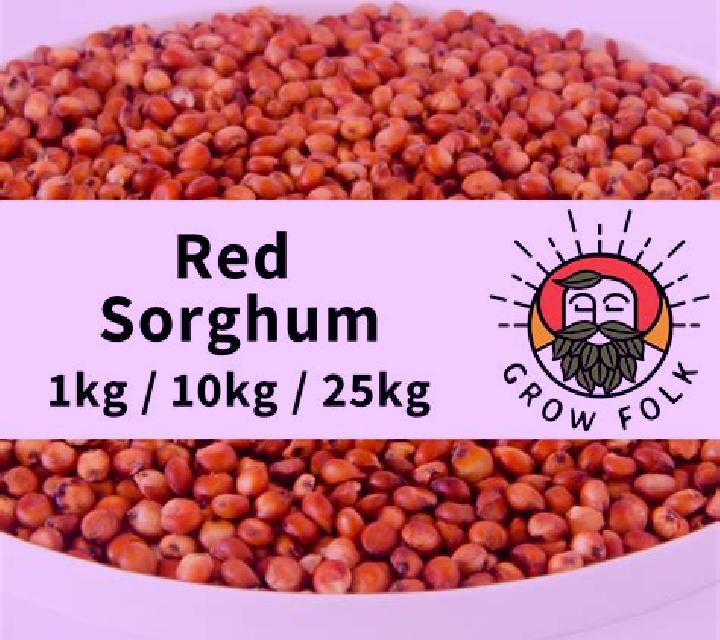 Red Sorghum slot game