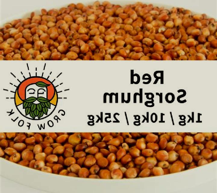 Red Sorghum slot machine