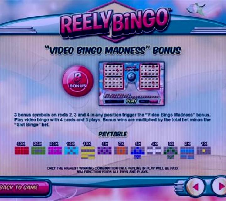 Reely Bingo slot