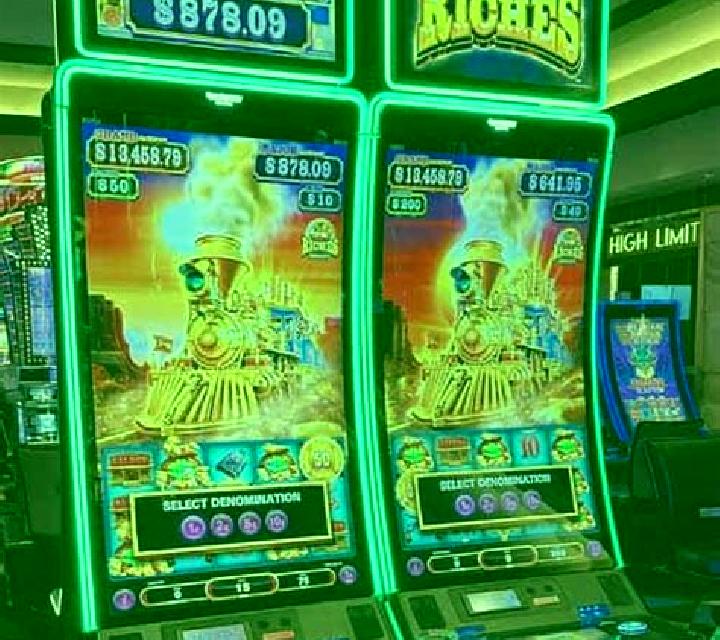 Reptile riches slot machine