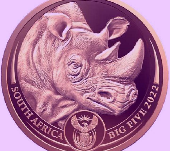 Rhino Coin slot game