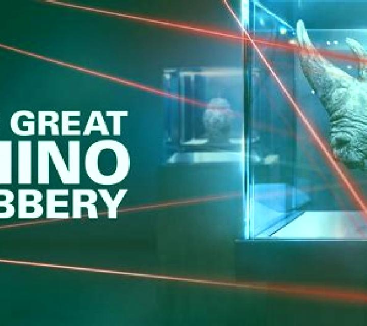 Rhino Robbery online slot