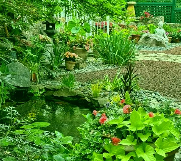 Rich Garden online slot