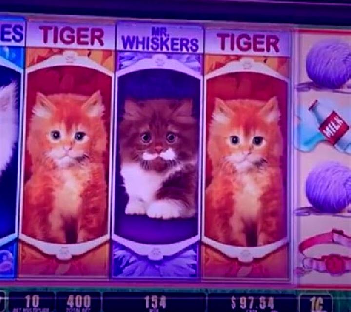 Rich Kittens slot game