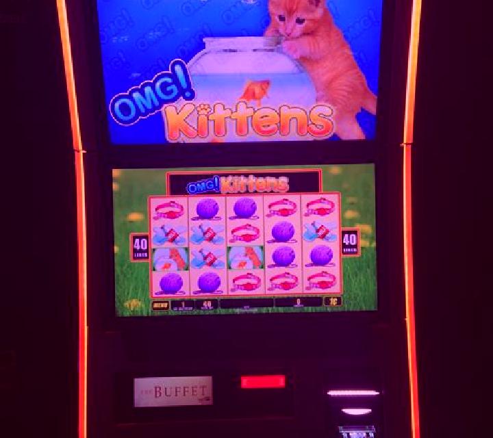 Rich Kittens slot machine