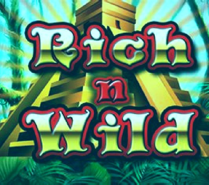 Rich n Wild slot game