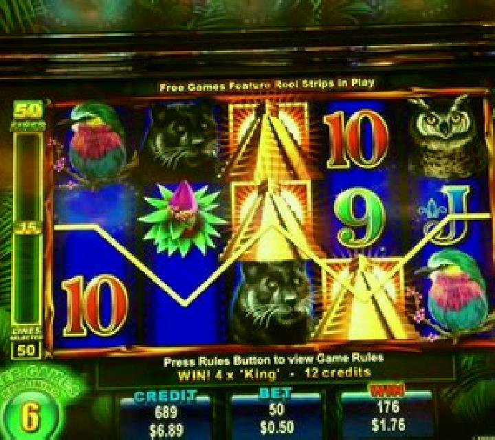 Rich n Wild slot machine