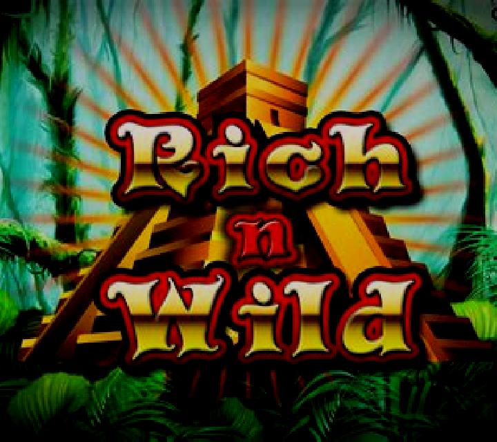Rich n Wild slot
