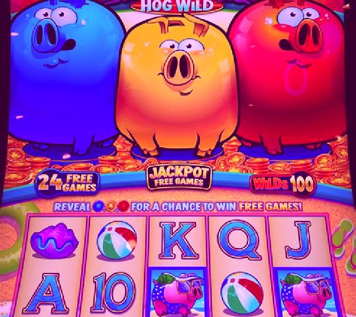 Richy Piggy slot machine