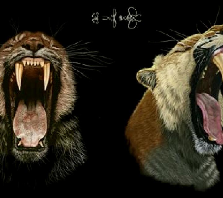 Rise of the Sabertooth slot game