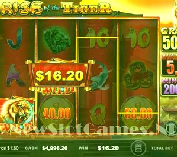 Rise of the Tiger slot machine