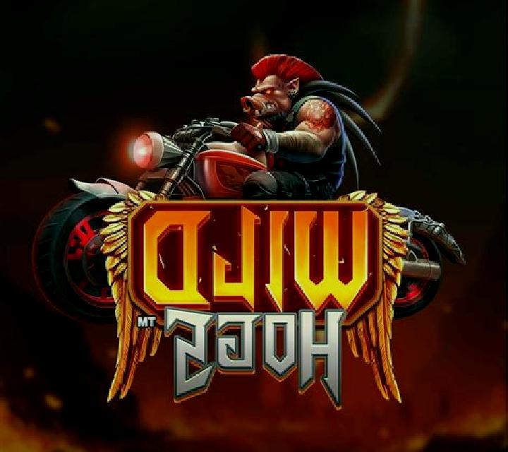 Road Hogs slot game