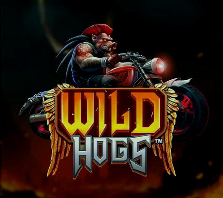 Road Hogs slot