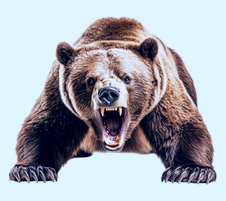 Roaring Bears online slot
