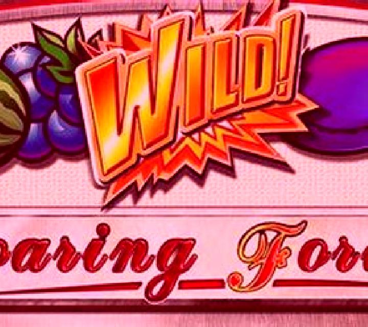 Roaring Forties slot machine