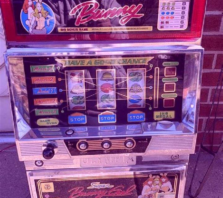 Robin and his Girl slot machine