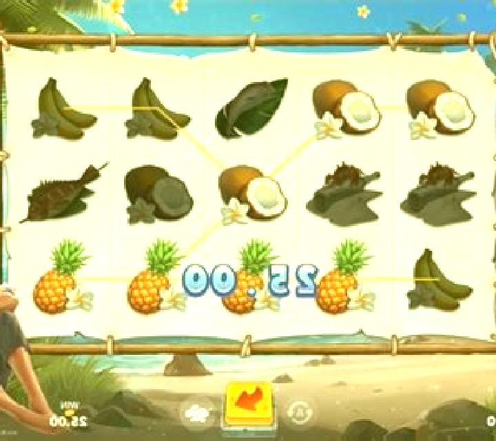 Robinson slot game