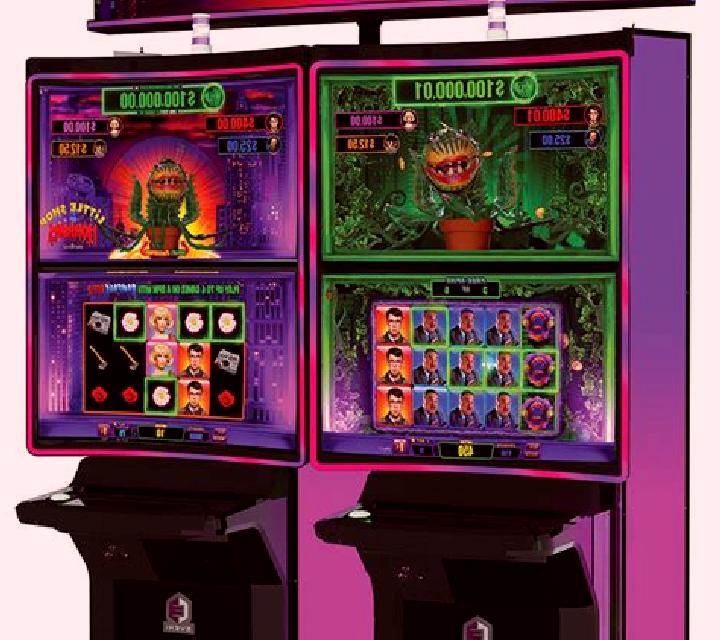 Rock Wild Shop slot machine
