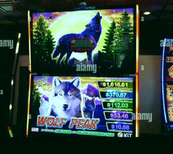 Rockabilly Wolves slot machine