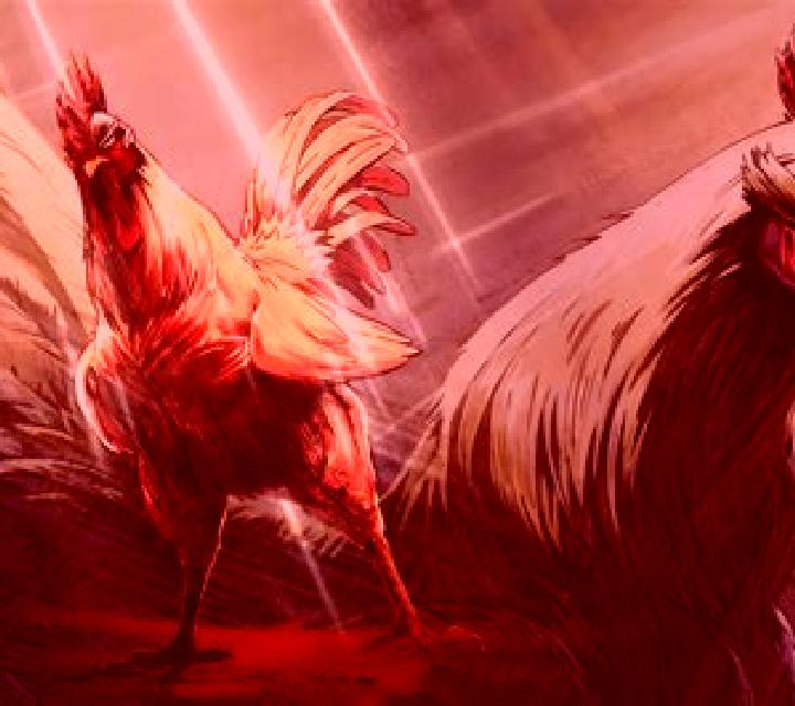 Rooster Fight slot game