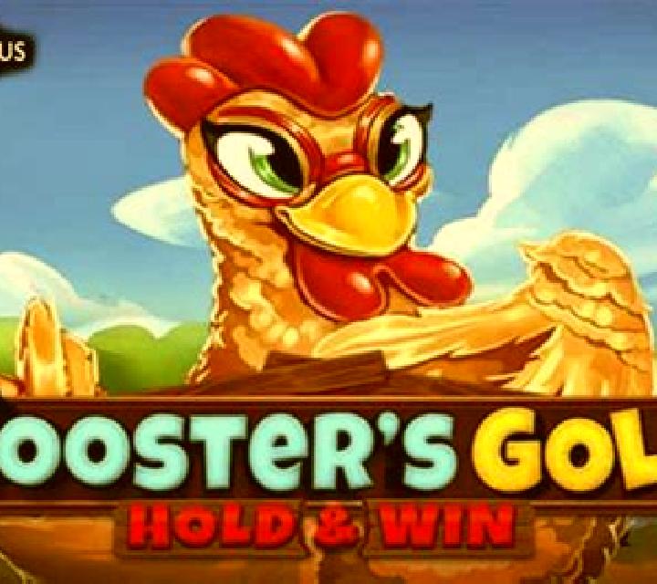 Rooster s Gold: Hold & Win slot