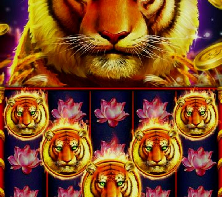 Royal Slots slot