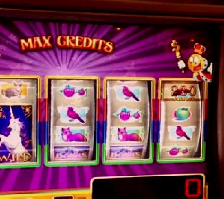 Royal Unicorn slot machine