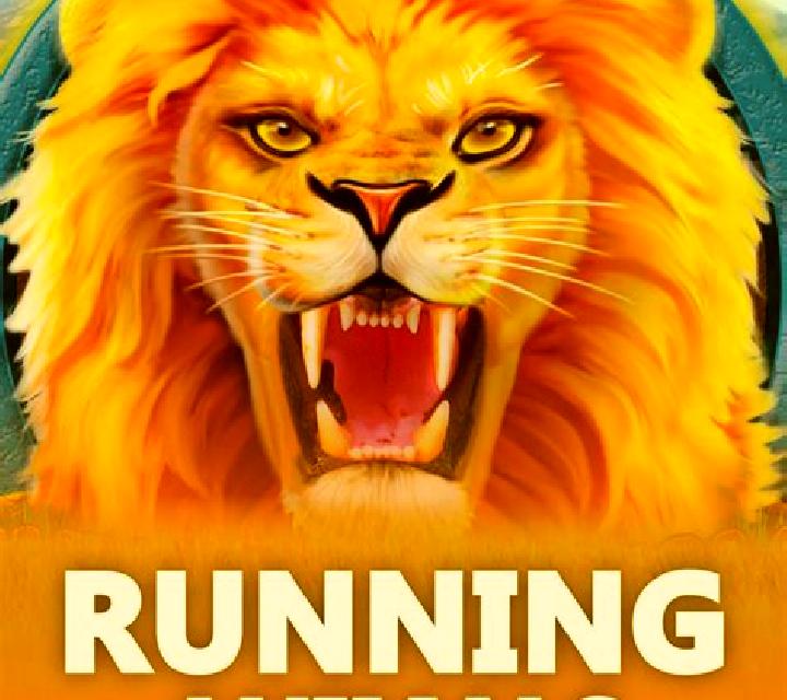 Running Animals slot game