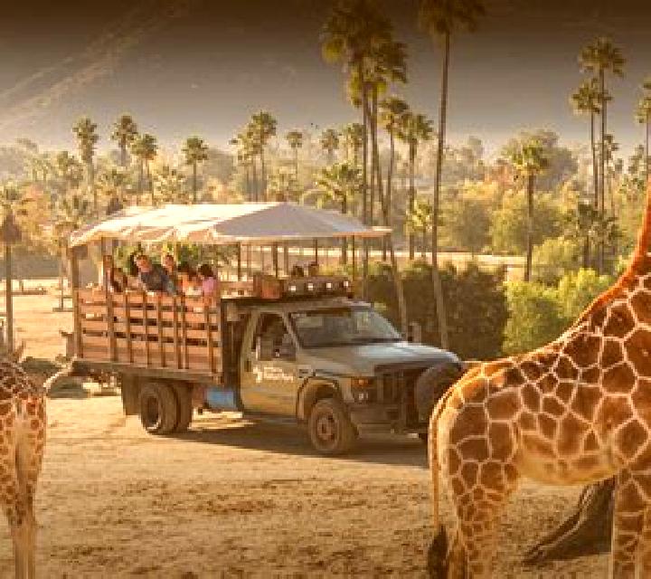 Safari Life 2 slot