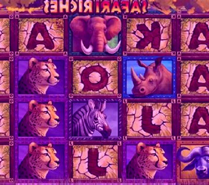 Safari Riches Live slot game