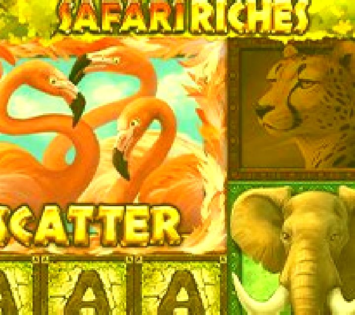 Safari Riches slot