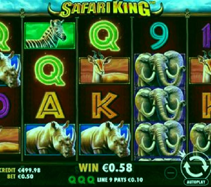 Safari Spins slot