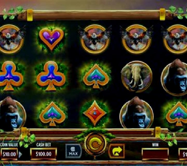 Safari Stampede slot