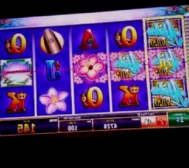 Sakura Delight slot machine