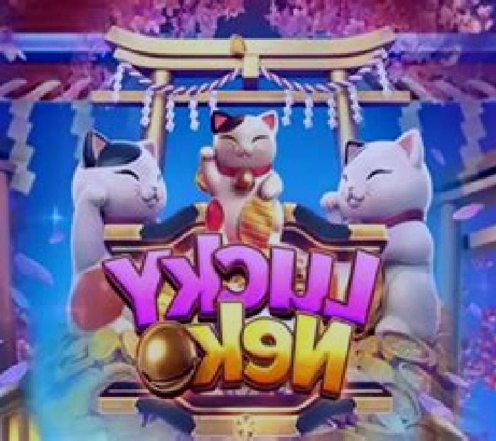 Sakura Neko slot game