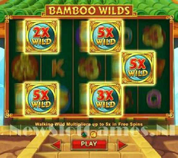 Savage Wilds slot game