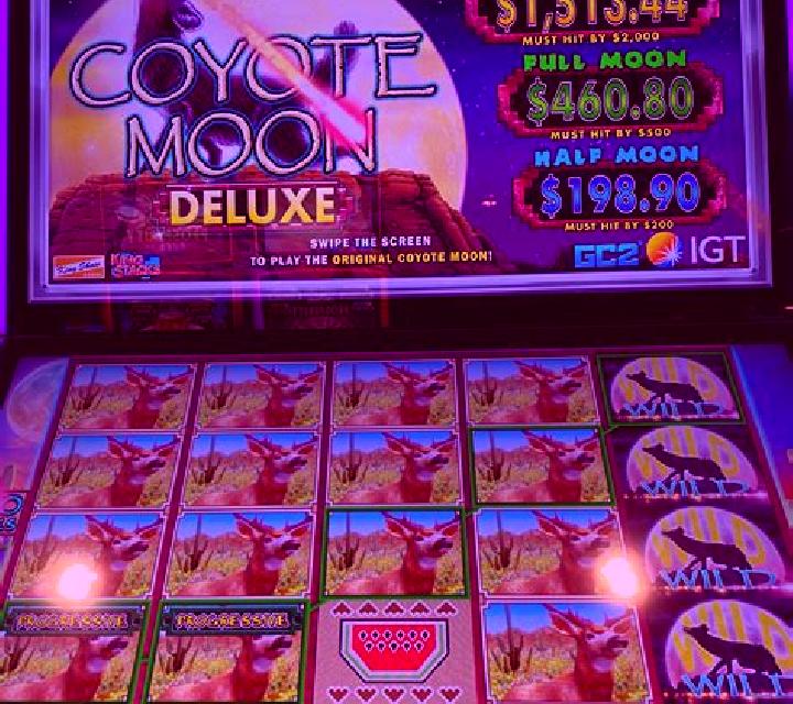 Savanna Moon slot machine
