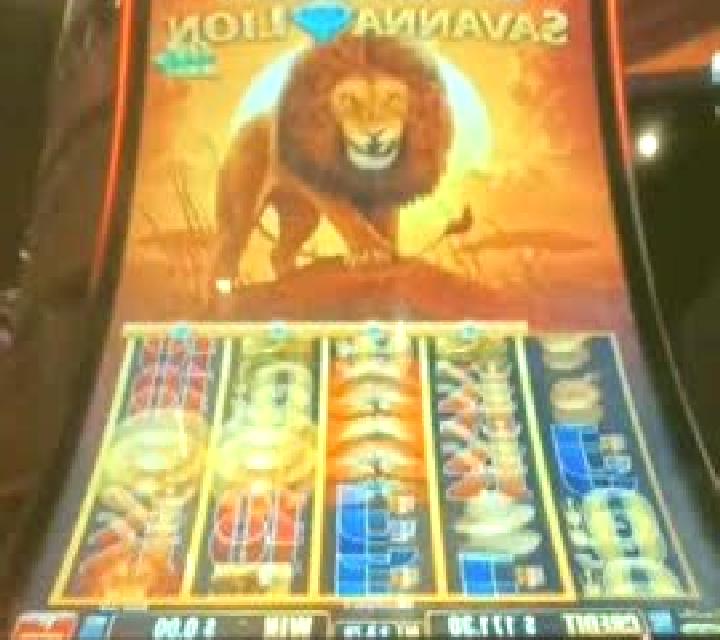 Savanna slot machine