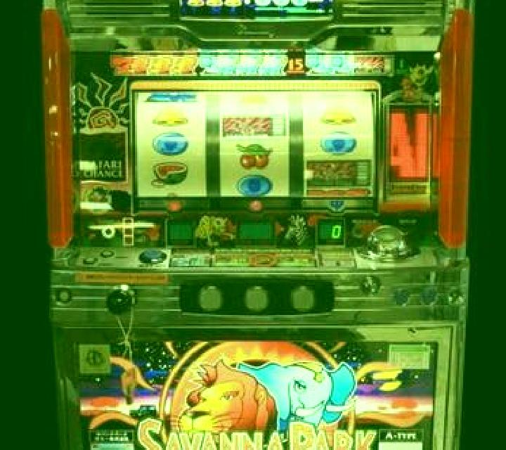 Savanna Song slot machine