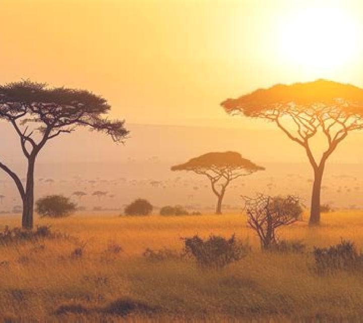 Savanna Sunrise Deluxe online slot