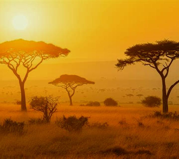 Savanna Sunrise Deluxe slot game
