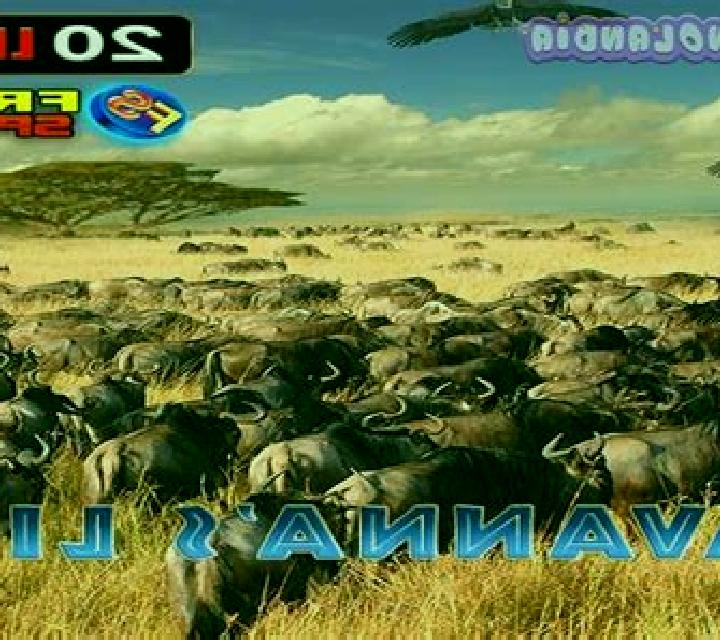 Savanna s Life online slot