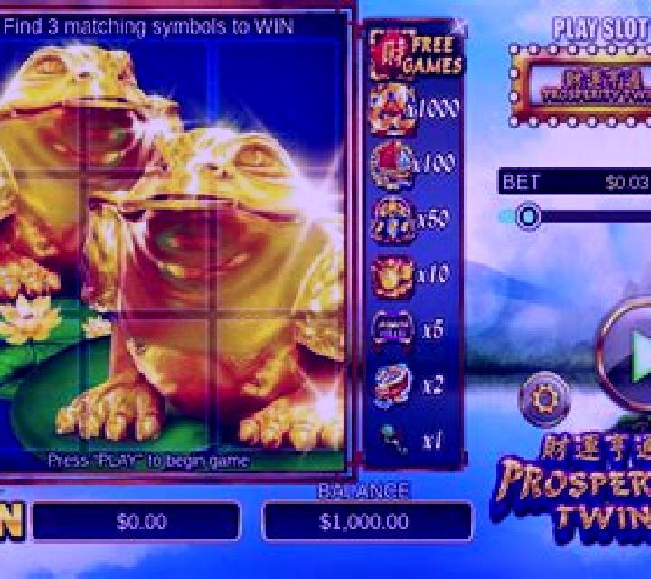 Scratch Prosperity Twin slot game